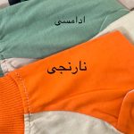 ببر گوشدار(105265)