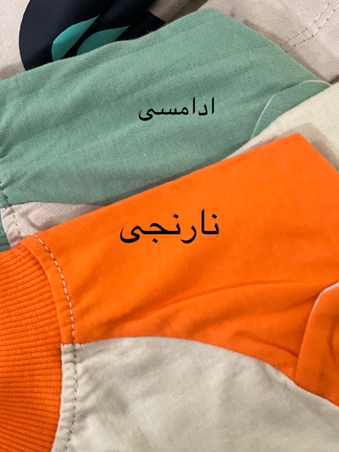 ببر گوشدار(105265)