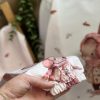 خرگوش هدفن(122613)
