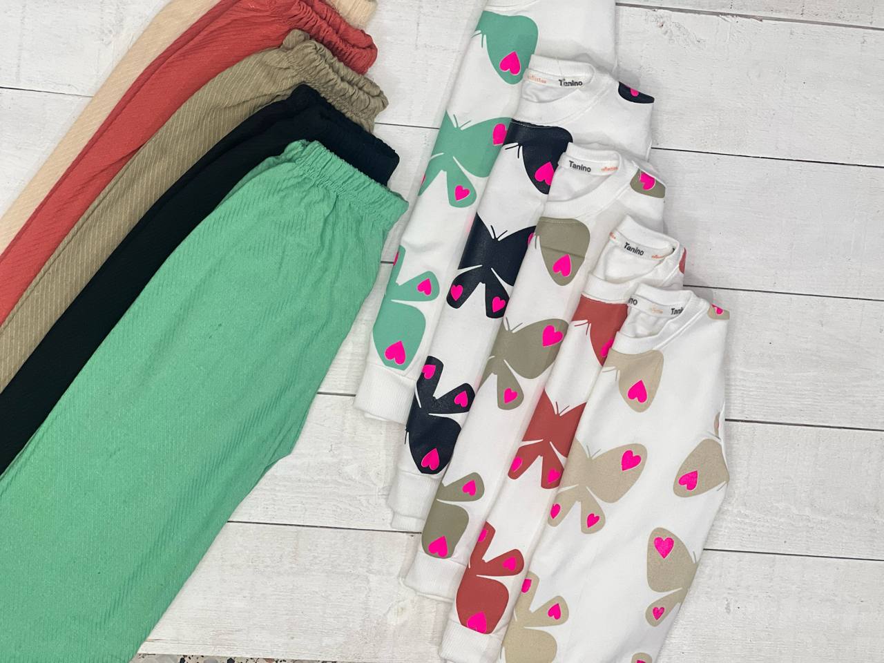 پروانه(126604)