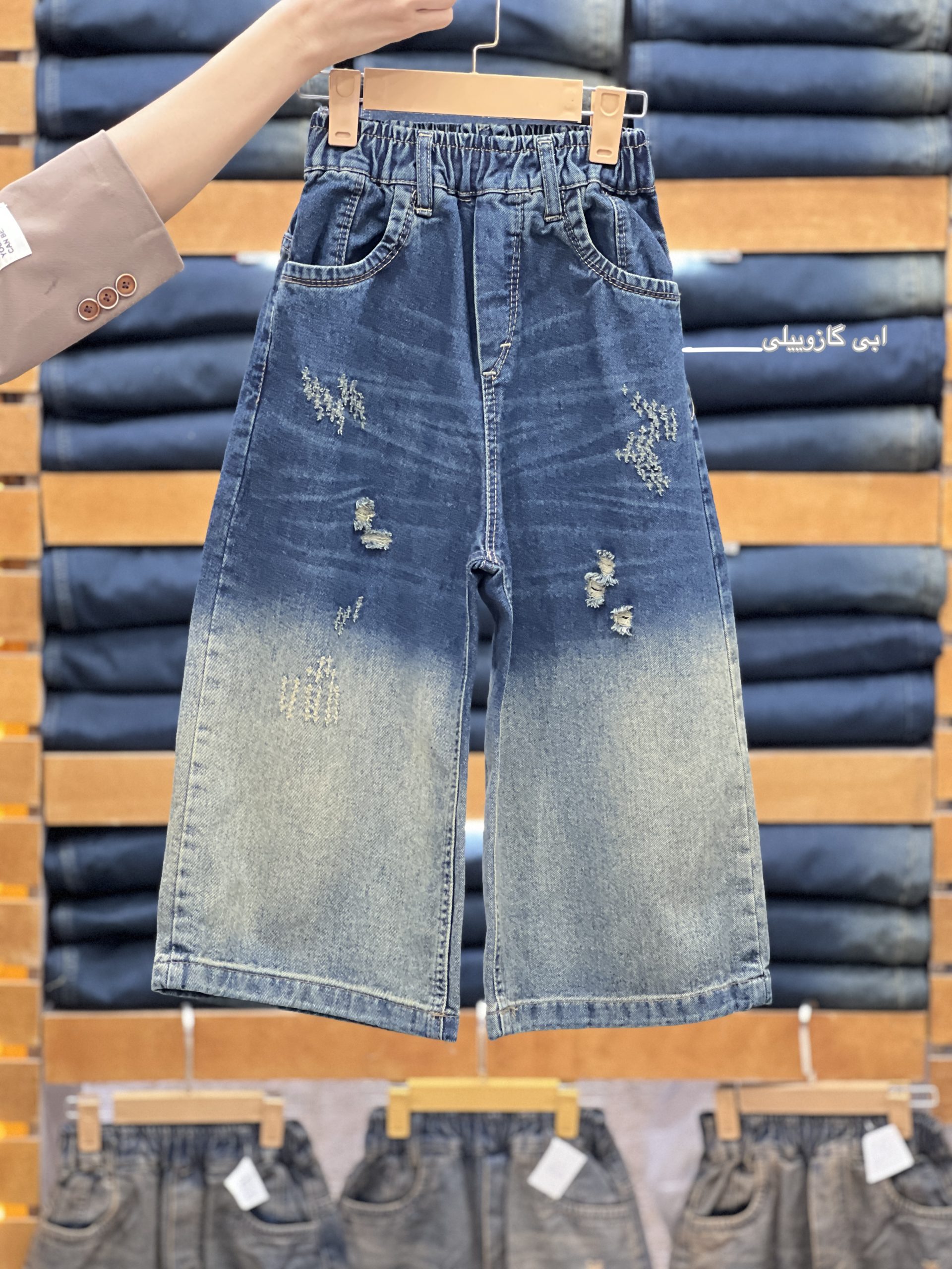 شافل جین (134775)