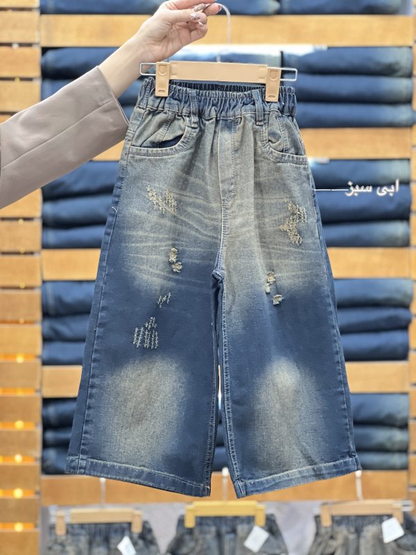 شافل جین (134775)