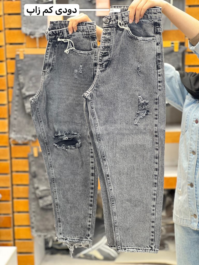 جین چند مدل (142793)