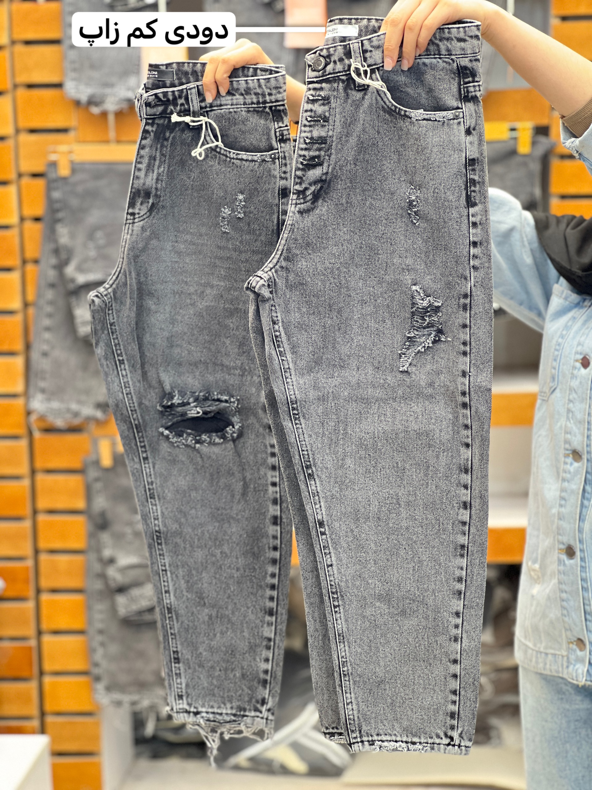 جین چند مدل (142793)