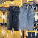 ست پافر (137580)