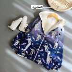 بارونی نوبل (148399)