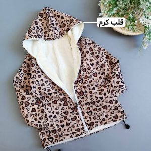 بارونی نوبل (148399)