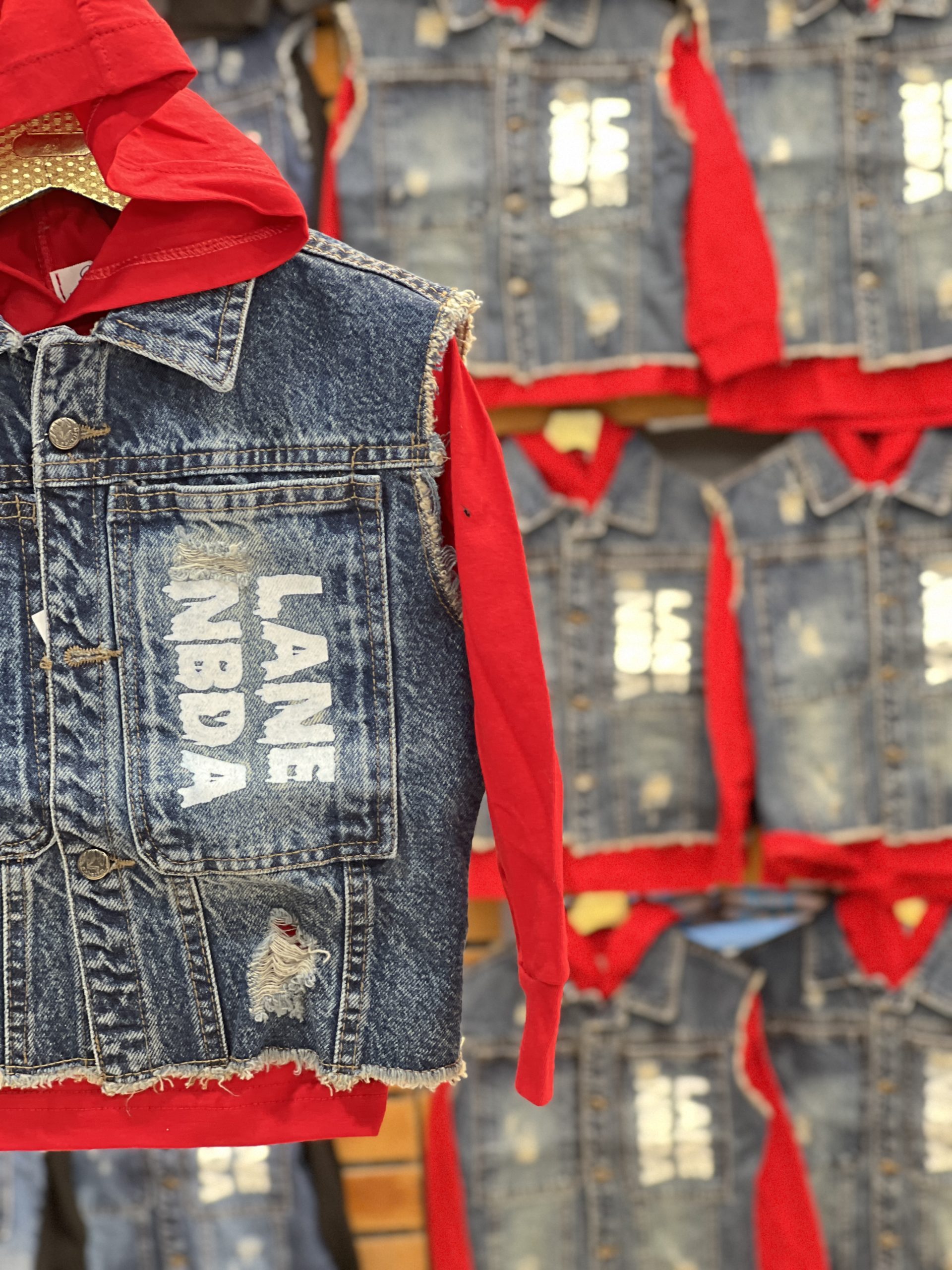 هودی وست (166281)