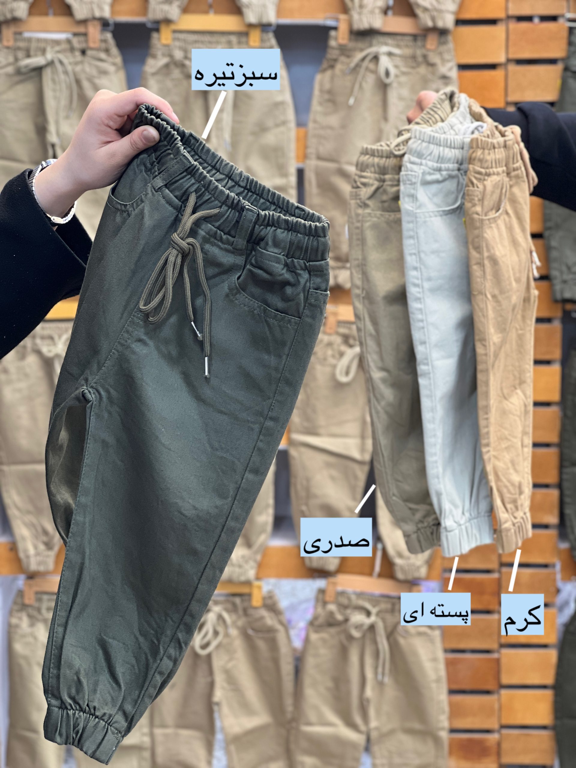 کتان کوچولو (158628)